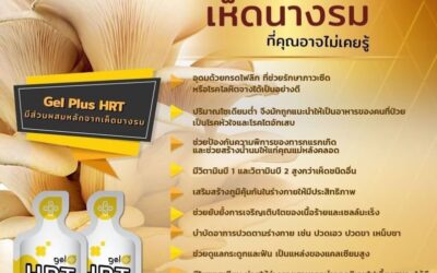 สารพัดประโยชน์ของเห็ดนางรม