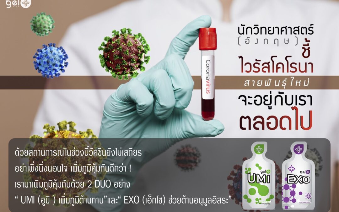 เพิ่มภูมิคุ้มกันดีกว่า