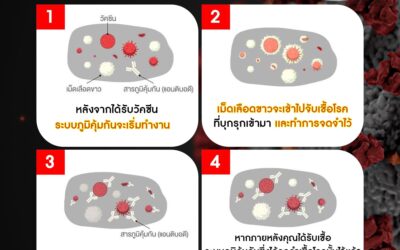 วัคซีนทำงานอย่างไร
