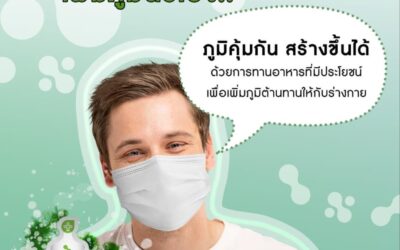 สร้างภูมิเอง