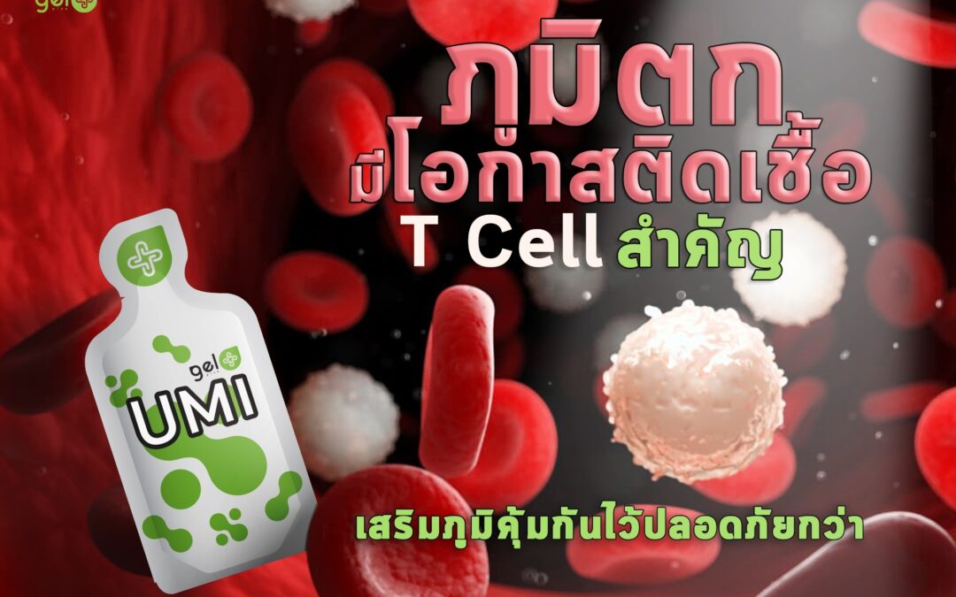 ภูมิตกเสี่ยงติด