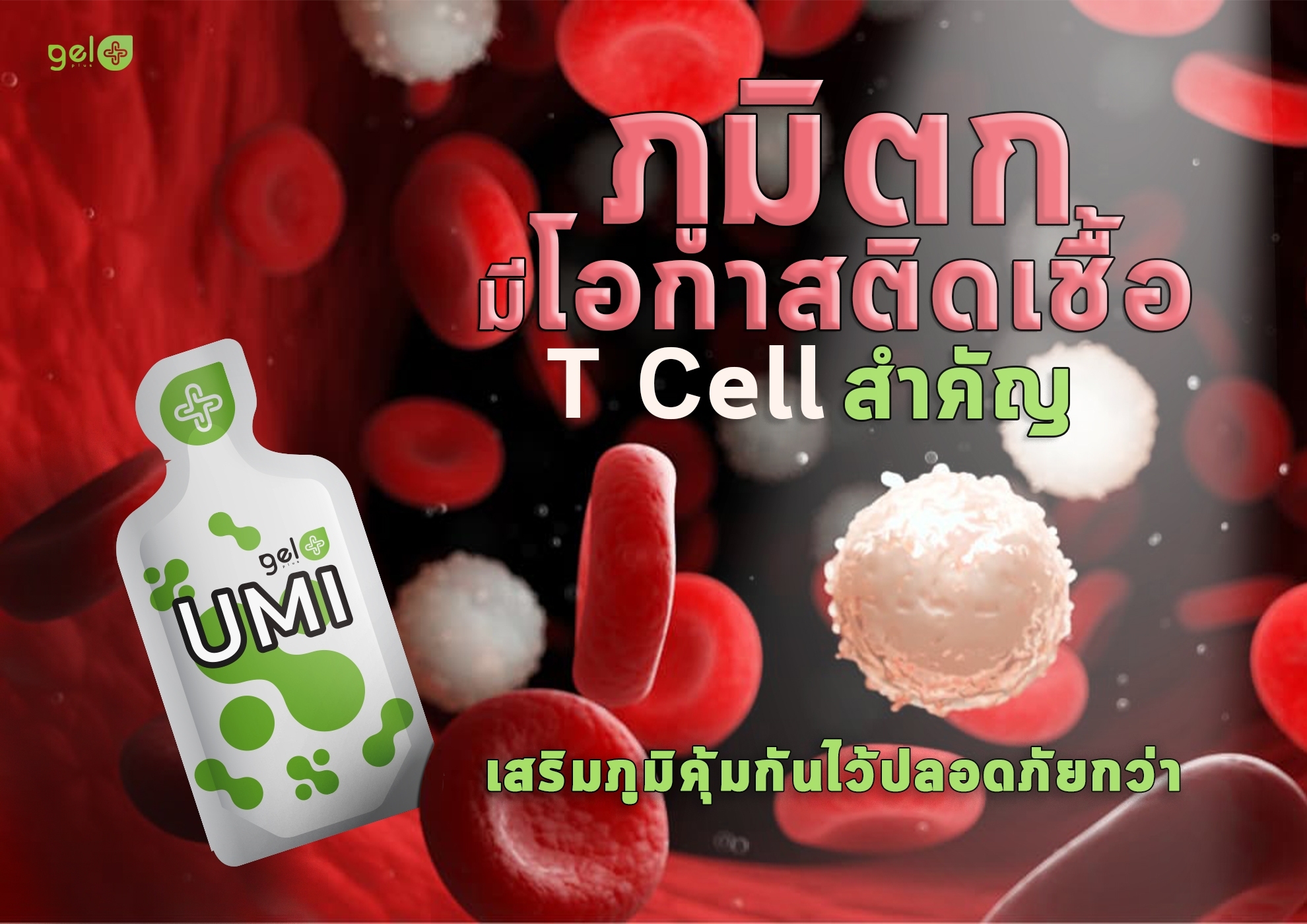 GELPLUS-UMI-TCELL-MATTER