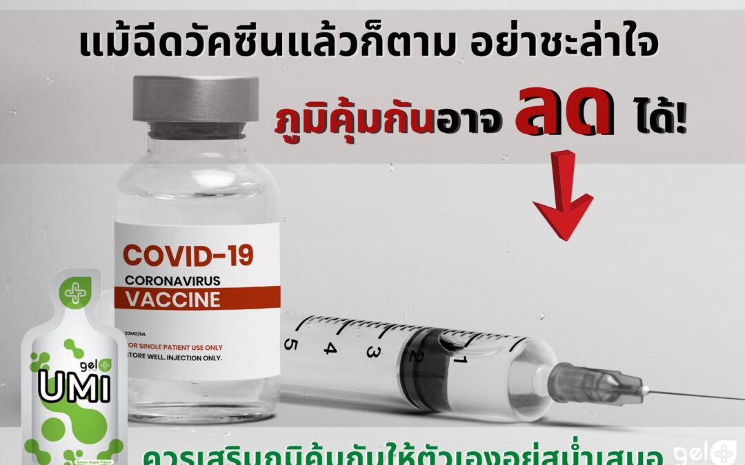 ป้องกันภูมิตก