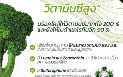 บร็อคโคลี่ในกรีน