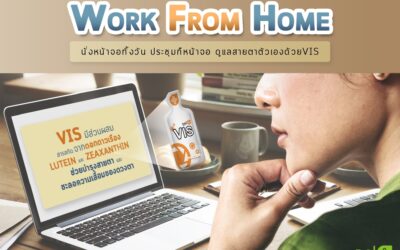 ทำงานหน้าจอที่บ้าน