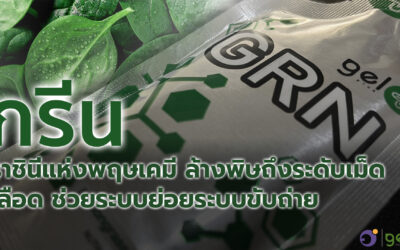 กรีน ล้างพิษดีท๊อกซ์