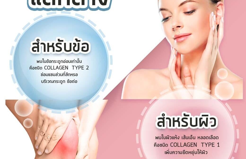 คอลลาเจน เหมือนและต่าง