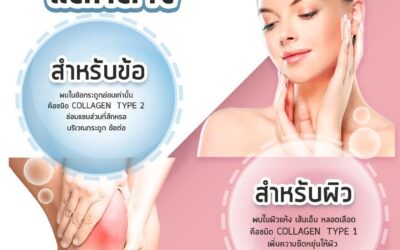 คอลลาเจน เหมือนและต่าง