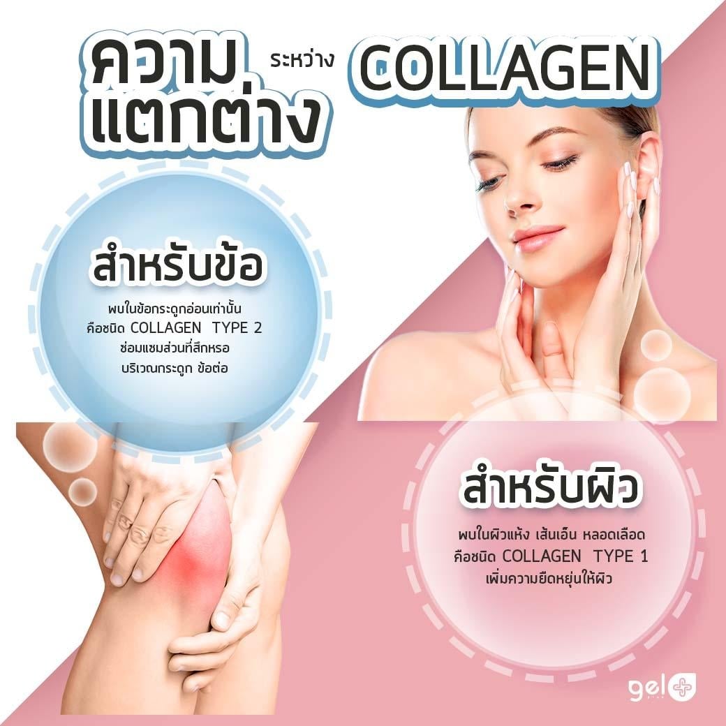 GELPLUS-Different-Collagen