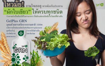 กินผักใบเขียวไหวมั้ย