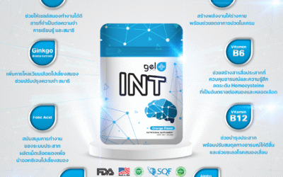 GelPlus INT รีวิว: สุดยอดอาหารเสริมบำรุงสมอง 8 สารสกัดพรีเมียม เพิ่มความจำ สมาธิ คิดไว ไม่เบลอ