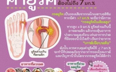 ลดยูริกให้ได้ผล! ด้วย 3 แนวทาง + ทางเลือกธรรมชาติที่คนส่วนใหญ่ยังไม่รู้