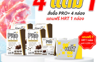 โปรโมชั่นประจำเดือน พฤศจิกายน 2025